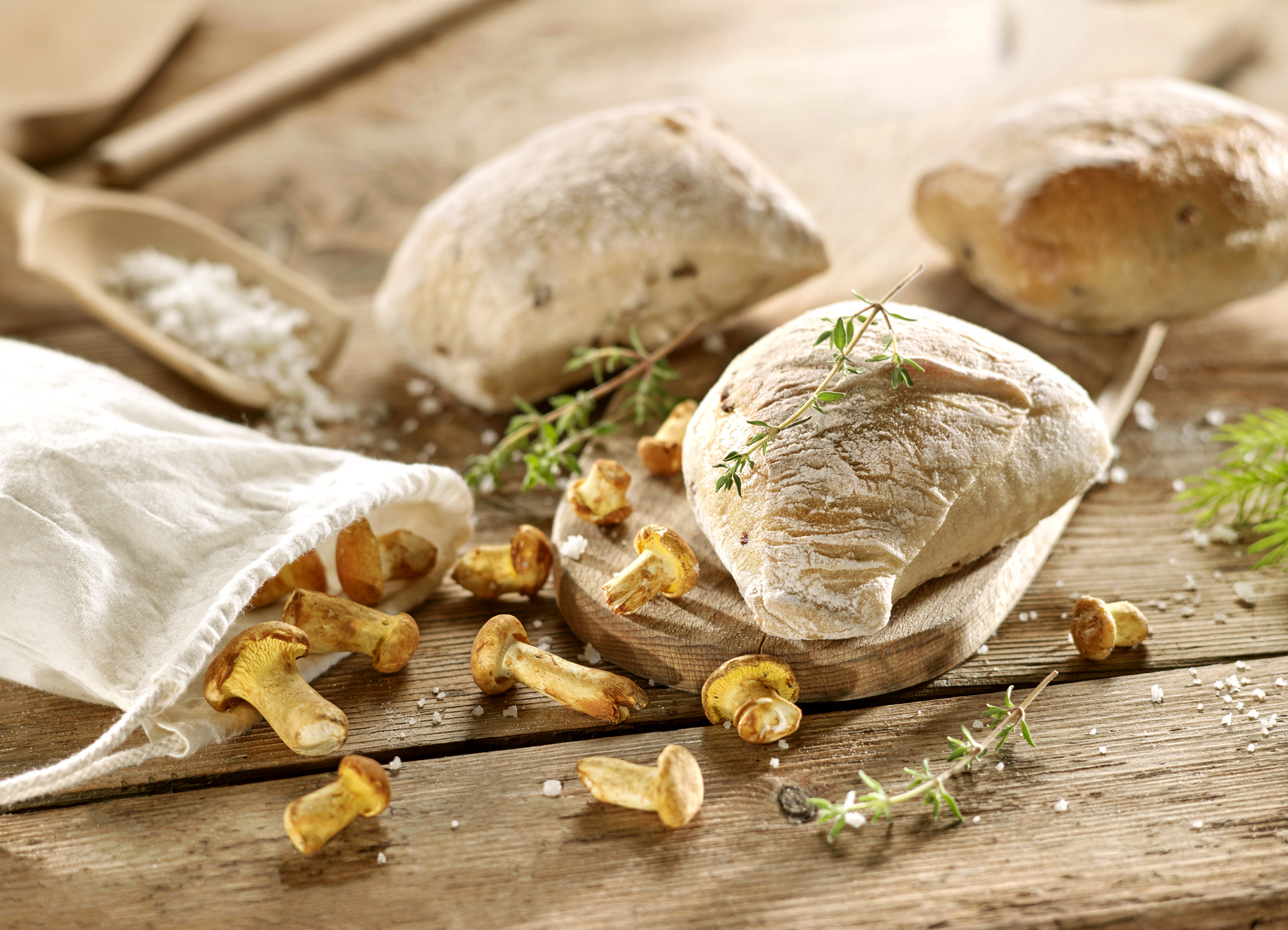 Das Ciabatta mit Eierschwammerl wurde mit Thymian verfeinert. Foto: Landzeit