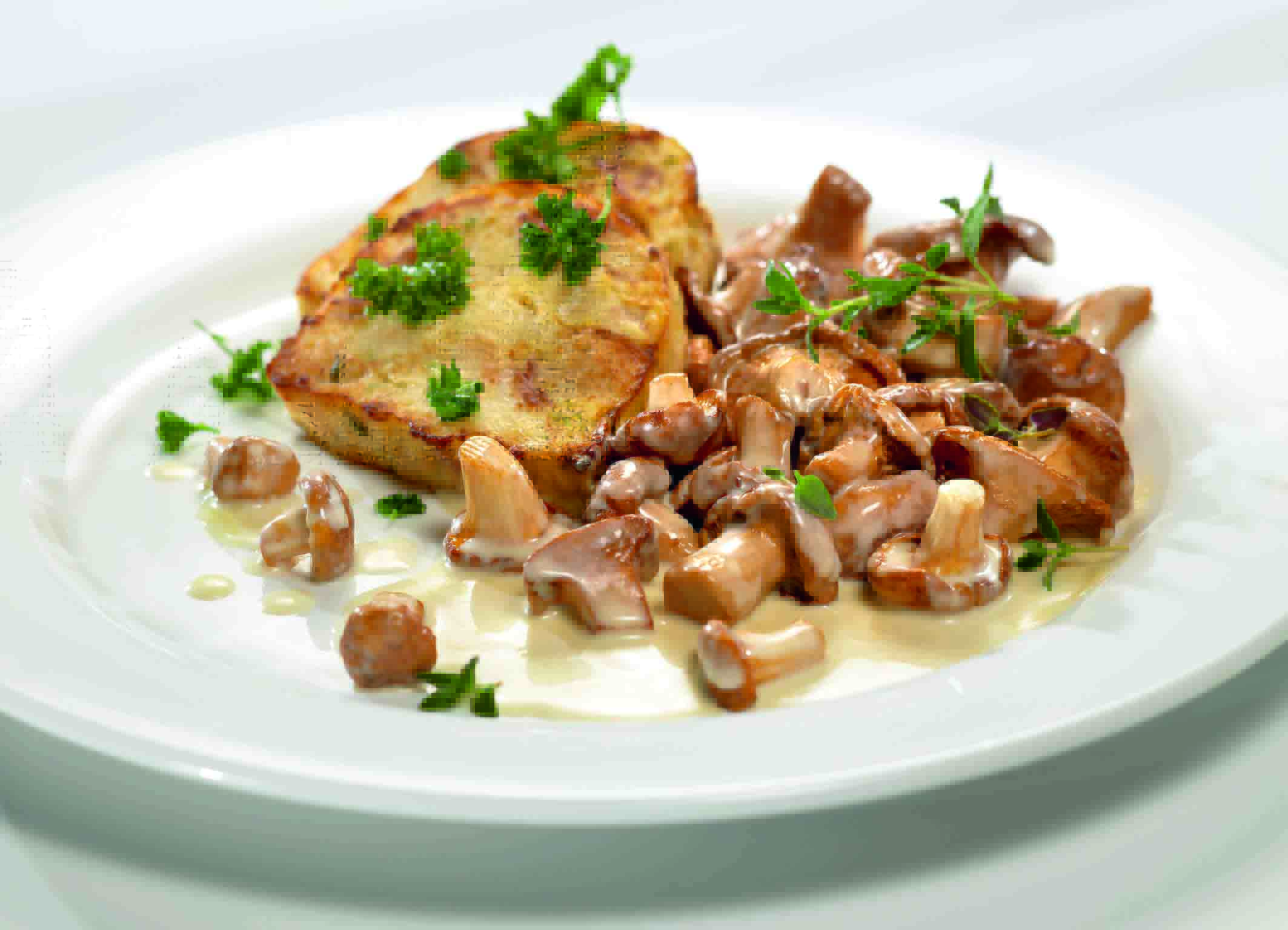 Eierschwammerl à la Creme werden mit Weißbrot-Soufflé serviert. Foto: Landzeit