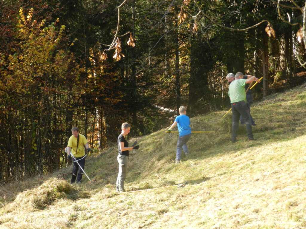 Fotos: Narzissenfestverein (frei)